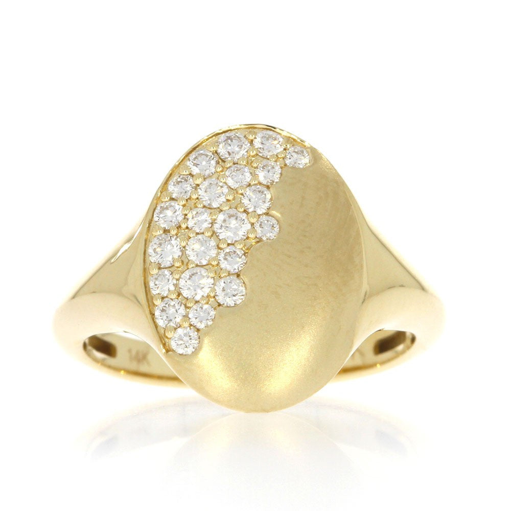 14K Yellow Gold and Flush Set 0.33ctw Diamond Ring