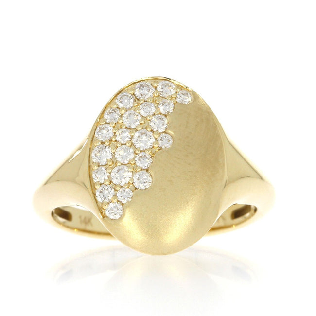 14K Yellow Gold and Flush Set 0.33ctw Diamond Ring